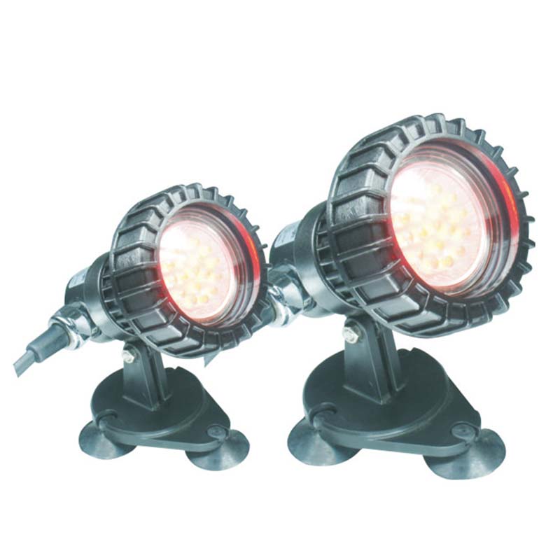 जमिनीखालील तलाव सबमर्सिबल लाइट वर मासे